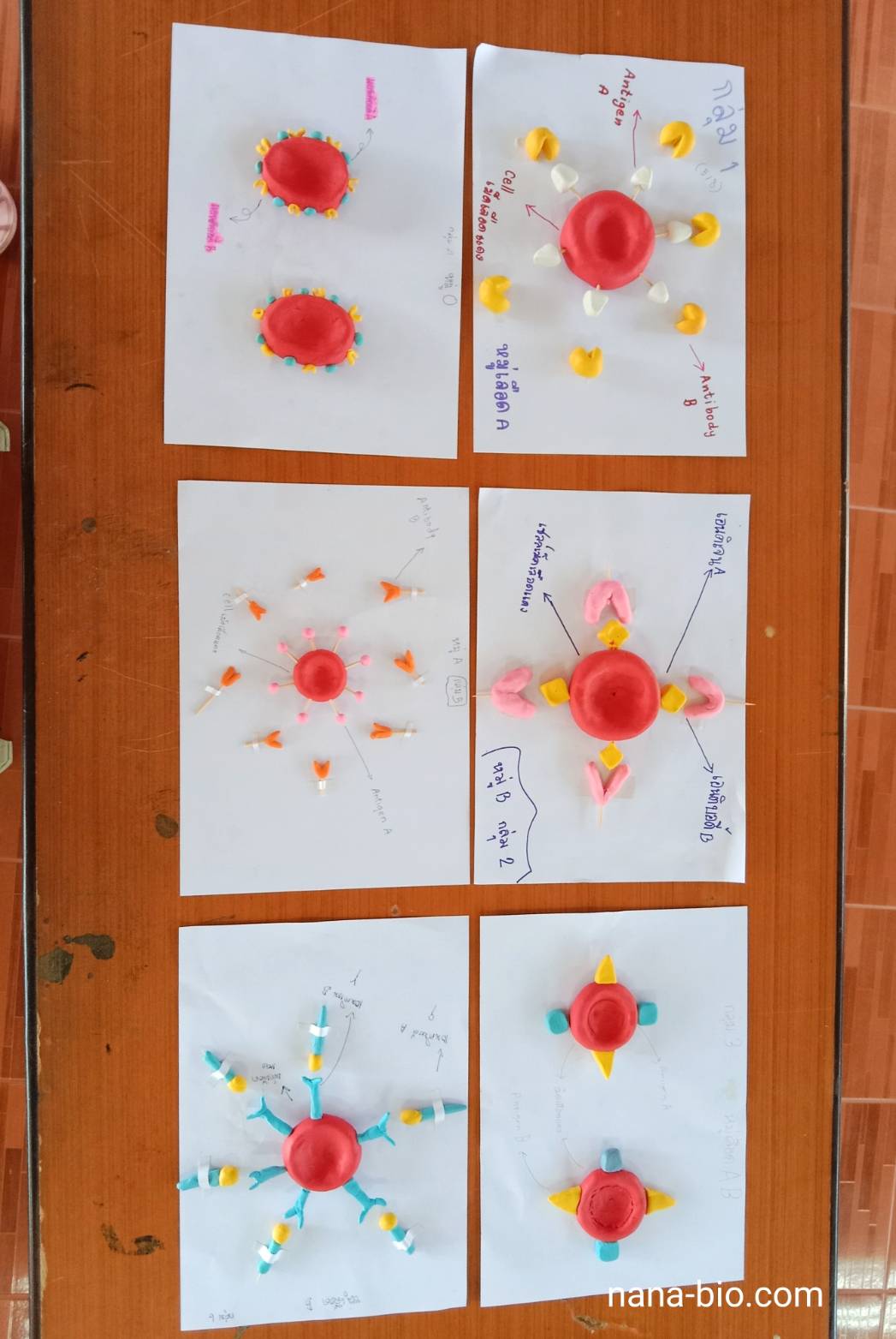 ผลงานนักเรียน